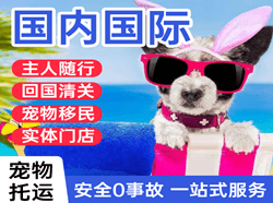 三亚凤凰航空快运国际宠物托运 【国